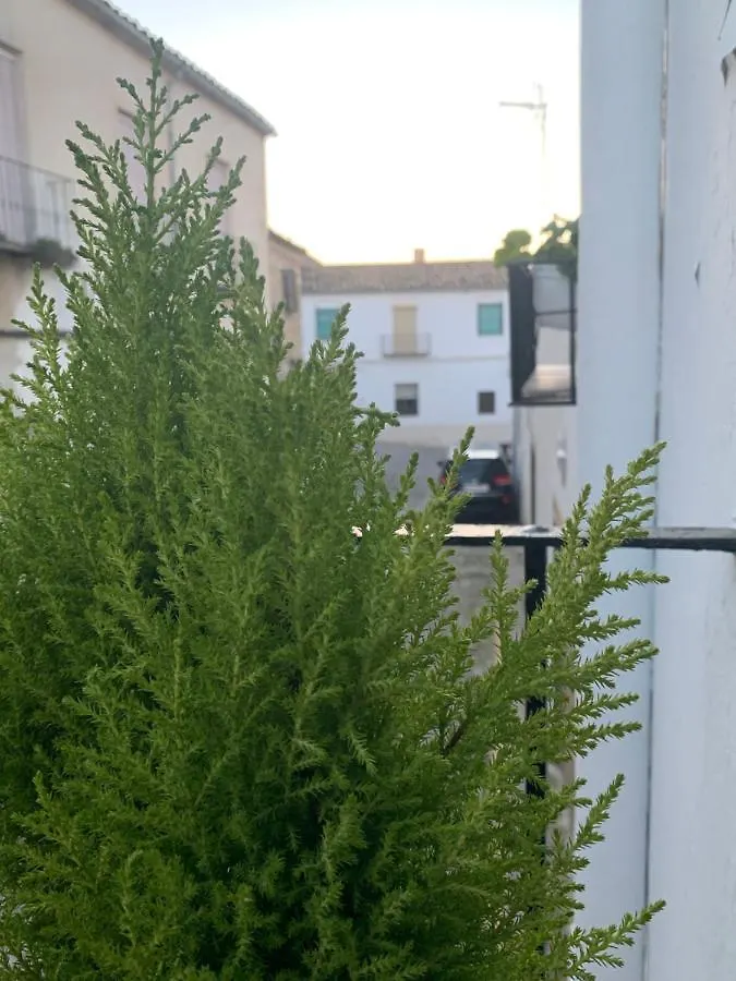 Vivienda Con Fines Turisticos La Barbacana Del Salvador Úbeda